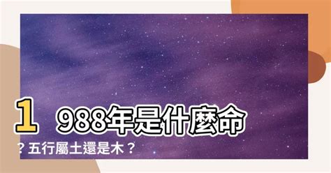 1988什麼龍|【1988年是什麼龍】1988戊辰龍年五行屬土 八字命運詳解與姻緣。